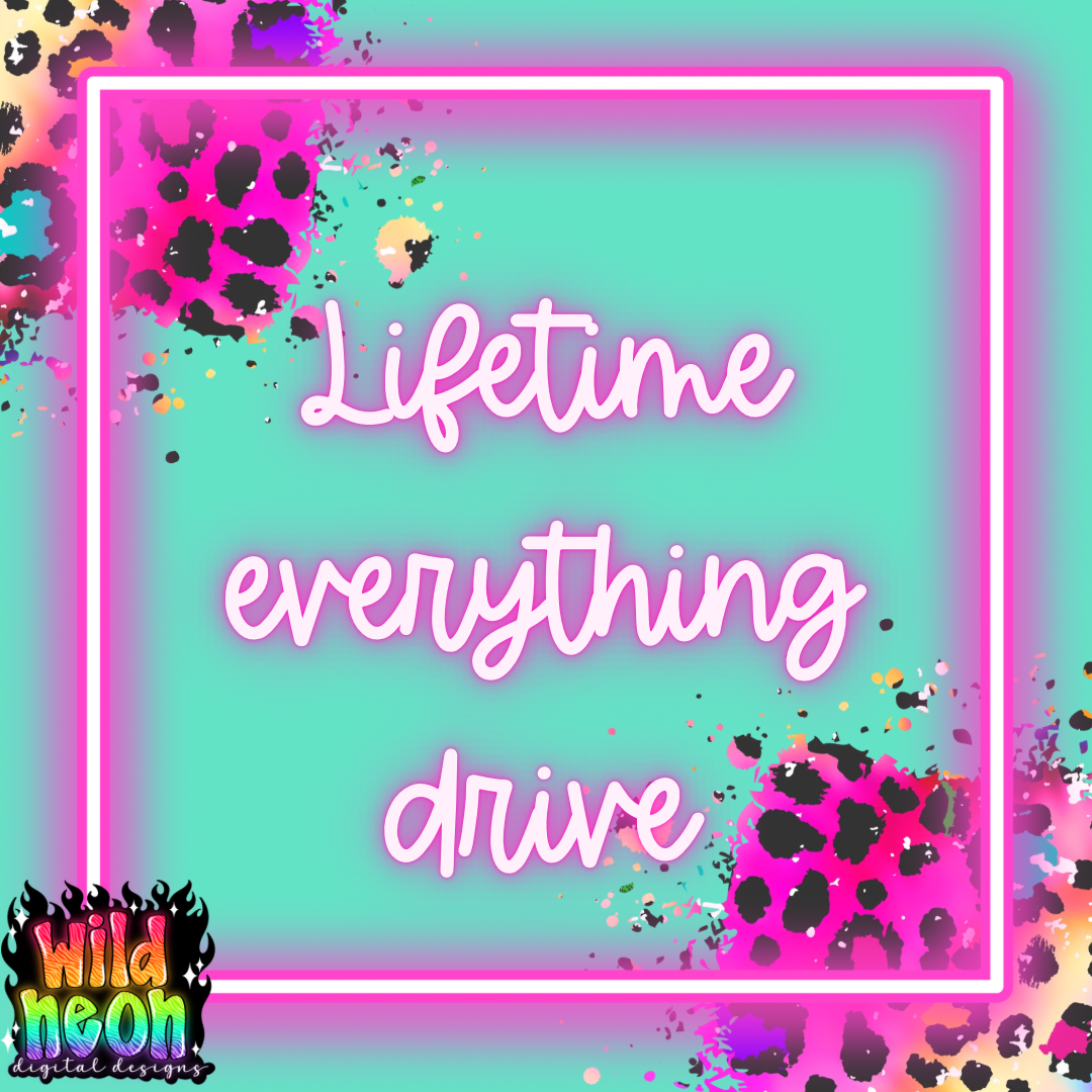 Lifetime everything drive