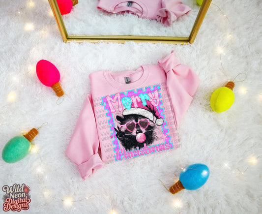 Merry Christmas raccoon
