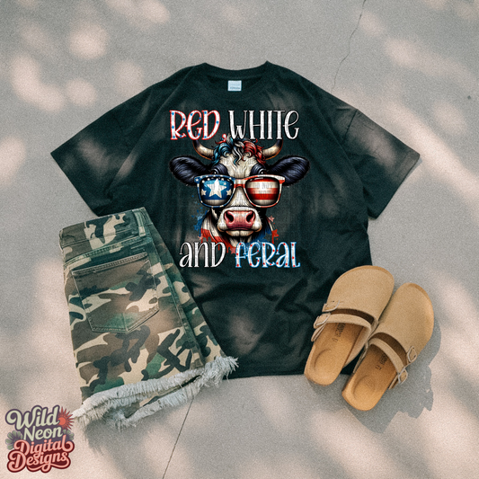 Red white feral cow