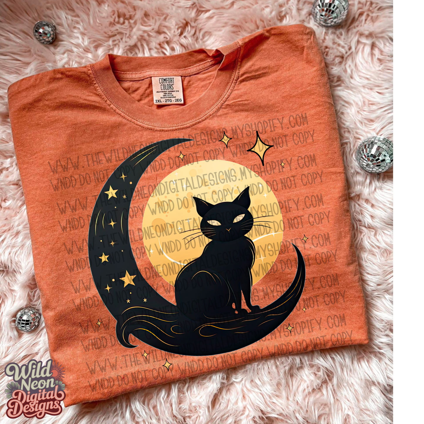 Moon and cat
