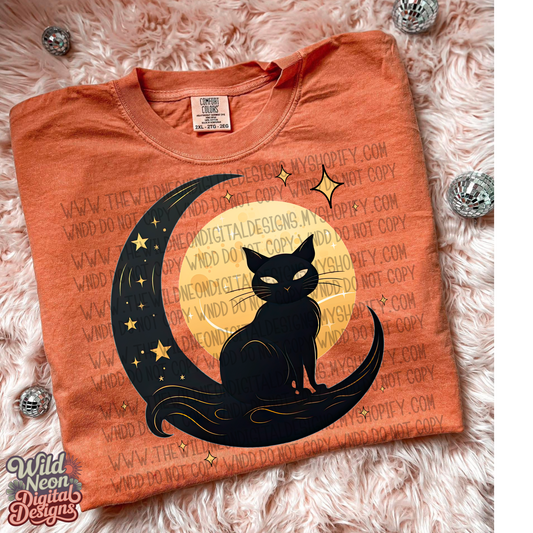 Moon and cat